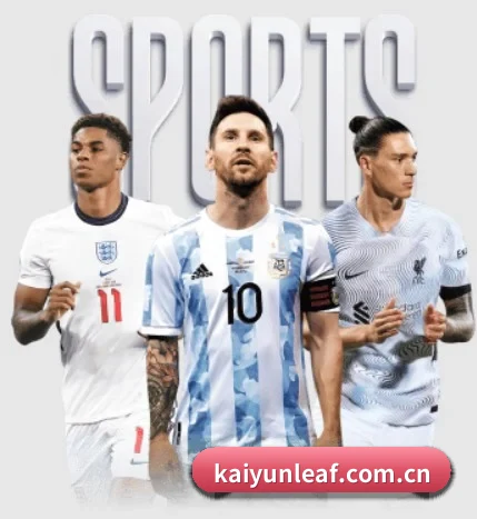 关于我们 - 体育资讯内容服务 - kaiyun